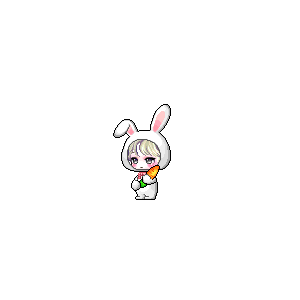 을 사용한 메이플스토리 메애기 코디