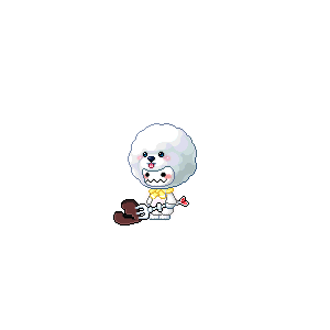 을 사용한 메이플스토리 메애기 코디