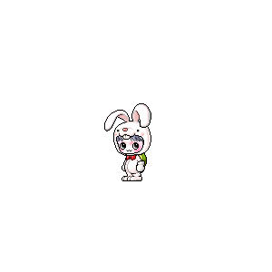 을 사용한 메이플스토리 메애기 코디