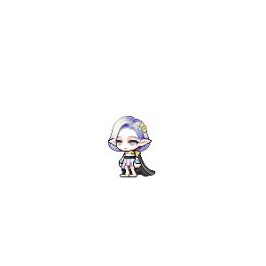 을 사용한 메이플스토리 메애기 코디