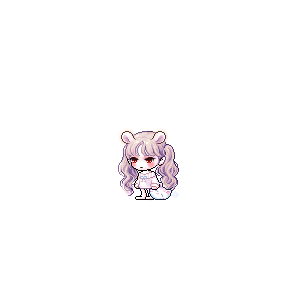 을 사용한 메이플스토리 메애기 코디