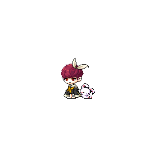 을 사용한 메이플스토리 메애기 코디