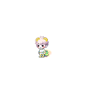 을 사용한 메이플스토리 메애기 코디