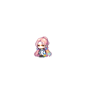 을 사용한 메이플스토리 메애기 코디