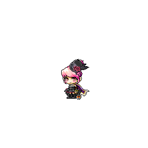 을 사용한 메이플스토리 메애기 코디