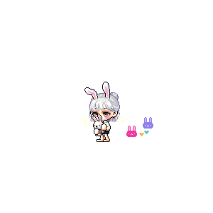 을 사용한 메이플스토리 메애기 코디