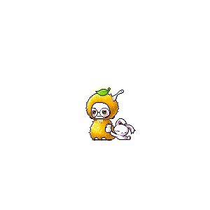 을 사용한 메이플스토리 메애기 코디