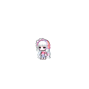 을 사용한 메이플스토리 메애기 코디