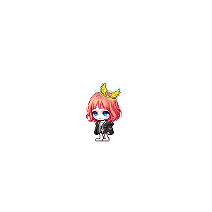 을 사용한 메이플스토리 메애기 코디