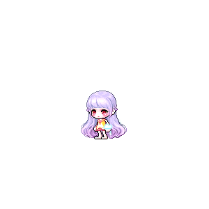 을 사용한 메이플스토리 메애기 코디