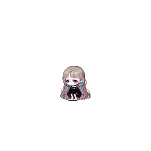 을 사용한 메이플스토리 메애기 코디