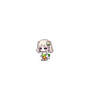 을 사용한 메이플스토리 메애기 코디