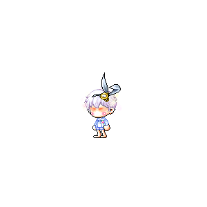 을 사용한 메이플스토리 메애기 코디