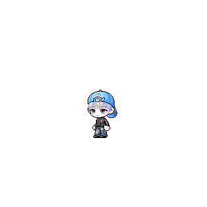 을 사용한 메이플스토리 메애기 코디