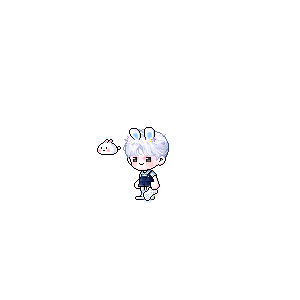 을 사용한 메이플스토리 메애기 코디