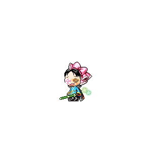을 사용한 메이플스토리 메애기 코디