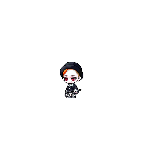 을 사용한 메이플스토리 메애기 코디