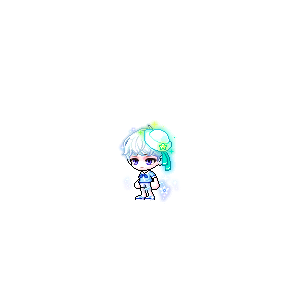 을 사용한 메이플스토리 메애기 코디