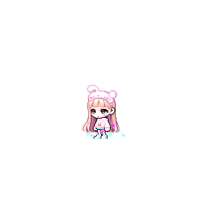 을 사용한 메이플스토리 메애기 코디