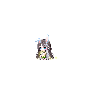 을 사용한 메이플스토리 메애기 코디