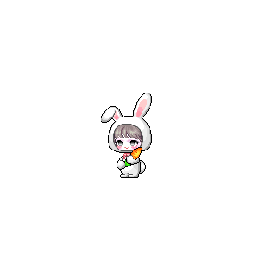 을 사용한 메이플스토리 메애기 코디