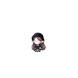 을 사용한 메이플스토리 메애기 코디