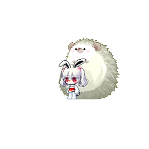 을 사용한 메이플스토리 메애기 코디