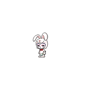 을 사용한 메이플스토리 메애기 코디