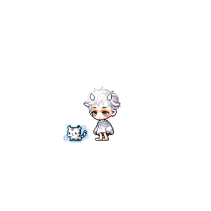 을 사용한 메이플스토리 메애기 코디