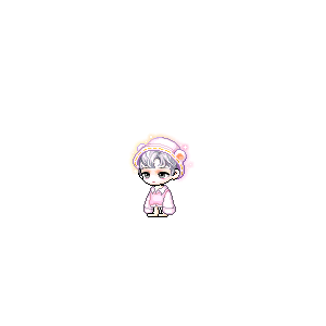 을 사용한 메이플스토리 메애기 코디