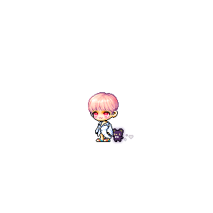 을 사용한 메이플스토리 메애기 코디
