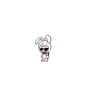 을 사용한 메이플스토리 메애기 코디