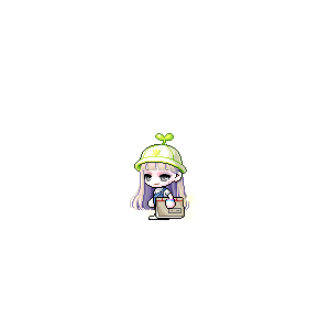 을 사용한 메이플스토리 메애기 코디