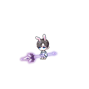 을 사용한 메이플스토리 메애기 코디