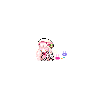 을 사용한 메이플스토리 메애기 코디