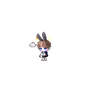 을 사용한 메이플스토리 메애기 코디