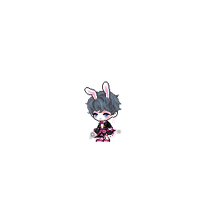 을 사용한 메이플스토리 메애기 코디
