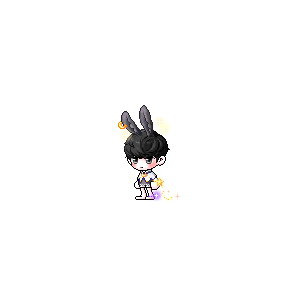 을 사용한 메이플스토리 메애기 코디