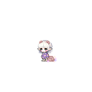 을 사용한 메이플스토리 메애기 코디
