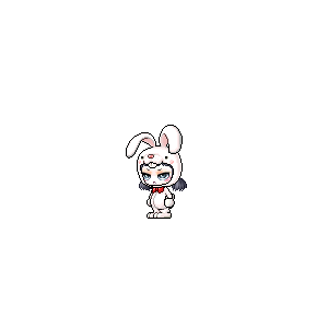 을 사용한 메이플스토리 메애기 코디
