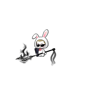 을 사용한 메이플스토리 메애기 코디