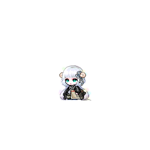 을 사용한 메이플스토리 메애기 코디