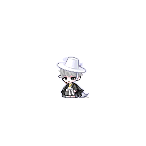 을 사용한 메이플스토리 메애기 코디
