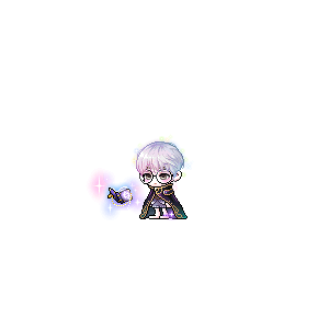 을 사용한 메이플스토리 메애기 코디