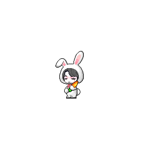 을 사용한 메이플스토리 메애기 코디
