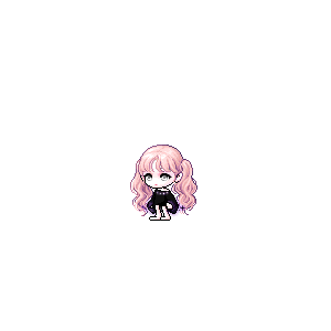 을 사용한 메이플스토리 메애기 코디