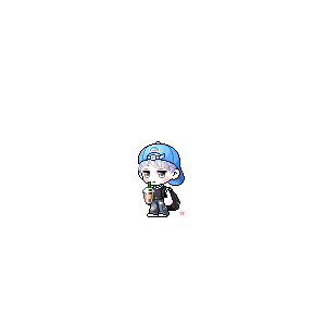 을 사용한 메이플스토리 메애기 코디