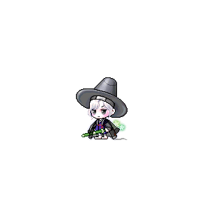 을 사용한 메이플스토리 메애기 코디