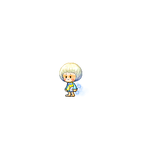 을 사용한 메이플스토리 메애기 코디