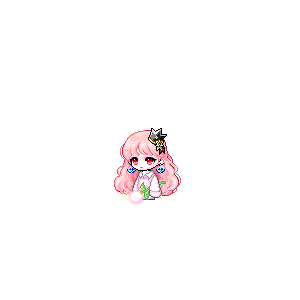을 사용한 메이플스토리 메애기 코디